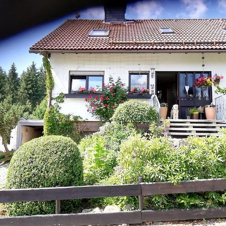 Ferienwohnung Anemone Mit Bergblick Braunlage Bagian luar foto